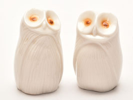 Vintage set peper en zout uil