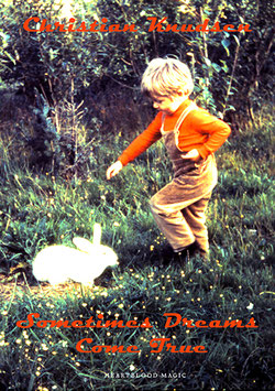 Sometimes Dreams Come True