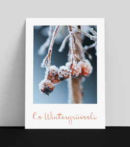 Art. 25.43 / Es Wintergrüessli