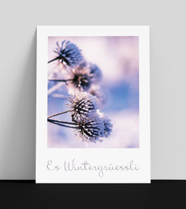Art. 25.42 / Es Wintergrüessli