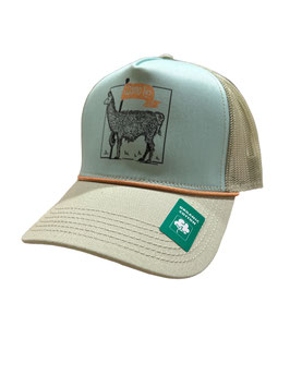 WOMEN JOURNEYMAN TRUCKER