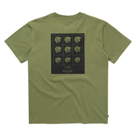 Mystic Pansy T-Shirt Olive Green