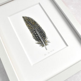Perlhuhn Feder 2 Aquarell