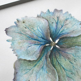 Originales Aquarell Hortensie Blüte türkis