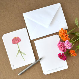 Postkarte Zinnie pink