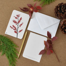 Postkarte Ilexzweig rot