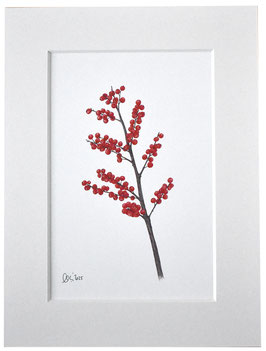 Wandbild rote Ilexbeeren