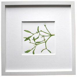 Originales Aquarell Mistelzweig grün