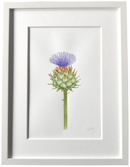 Originales Artischocken Aquarell