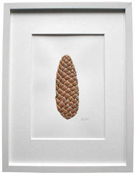 Fichtenzapfen Originales Aquarell