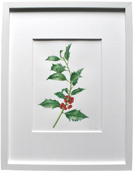 Originales Aquarell Ilex Stechpalme