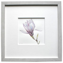 Originales Aquarell rosa Magnolie