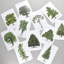 11 Postkarten mit Bäumen