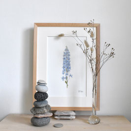 Wandbild Rittersporn blau