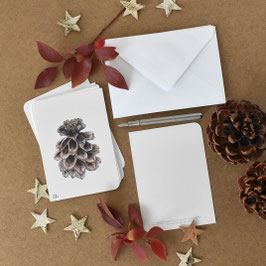 Postkarte Pinienzapfen