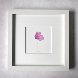 pinke Alpen-veilchenblüte 1 Aquarell