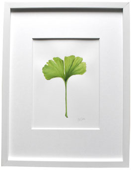 Originales Ginkgoblatt Aquarell