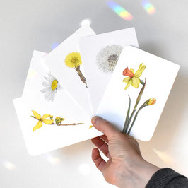 5 Postkarten gelber Frühling