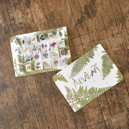 Advents-kalender Blüten GRATiS (2.Wahl)