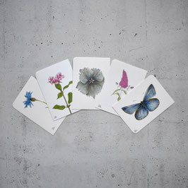 5 Postkarten blau-rosa
