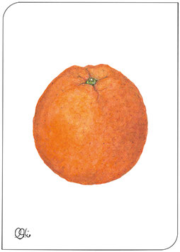 Postkarte Orange