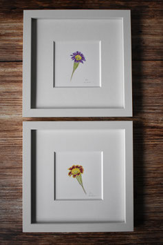 Aurikelchen-blüten Aquarell