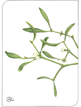 Postkarte Mistelzweig GRATIS