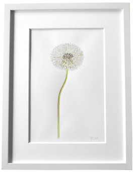 Original Pusteblume Aquarell