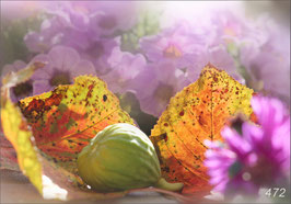 Herbstlicher Farbenrausch