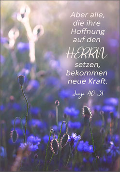 Aber alle, die ihre Hoffnung auf den Herrn setzen ...