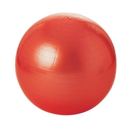 GYM BALL 65 CM - RIF L1221