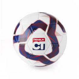 PALLA CALCIO TRAINING TAGLIA 4 - RIF L5011