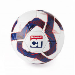 PALLA CALCIO TRAINING 5 - RIF L5012