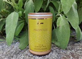 Kapseln mit Propolis 100Stk