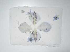 A5, Büttenpapier, Clematis, Borretsch, Fenchel, doppelt geschöpft, Einzelblatt