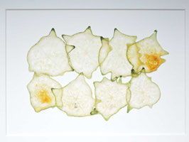 Gemüsebild "Stachelgurke"