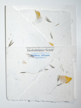 Briefpapier Herbstblätter/Schilf