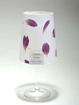 "Lichtauslese" Dahlie