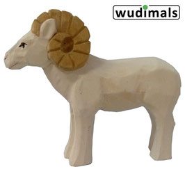 Widder - Wudimals