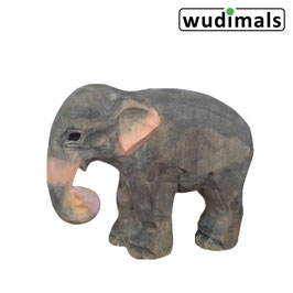 Asiatischer Elefant - Wudimals