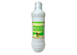 Nopal extracto bebible con linaza, camu camu y hojas de stevia - Botella x 600 ml