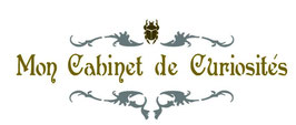 Cabinet de curiosités scarabée