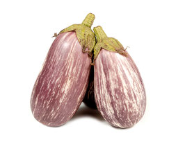 AUBERGINES GRAFITTI BIO
