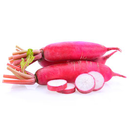 RADIS LONG BLANC  OU ROSE BIO
