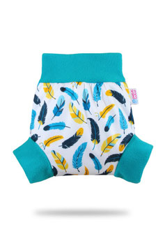 Cover Turquoise feathers