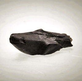 WALZAHN, fossil