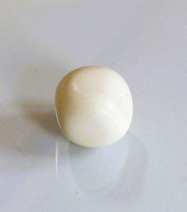 SILEX