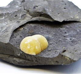 CALCIT im Basalt