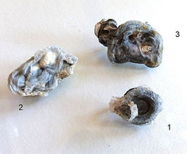 ANSTECKNADELN - aus Chalcedon und Pauamuschel
