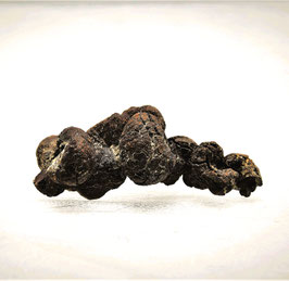 KOPROLITH, fossiler Kot